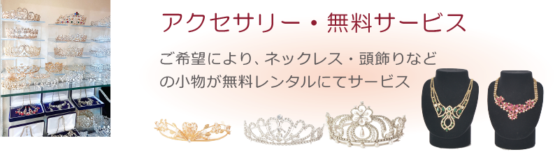 �A�N�Z�T���[���������^��